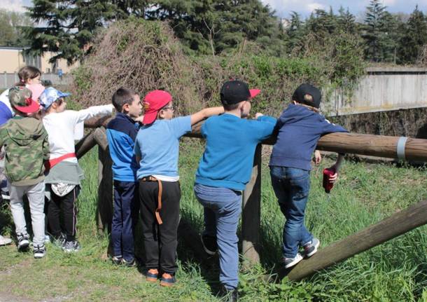 bambini scuola carducci olgiate olona fiume