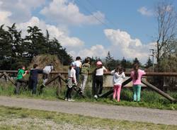 bambini scuola carducci olgiate olona fiume