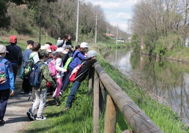 bambini scuola carducci olgiate olona fiume