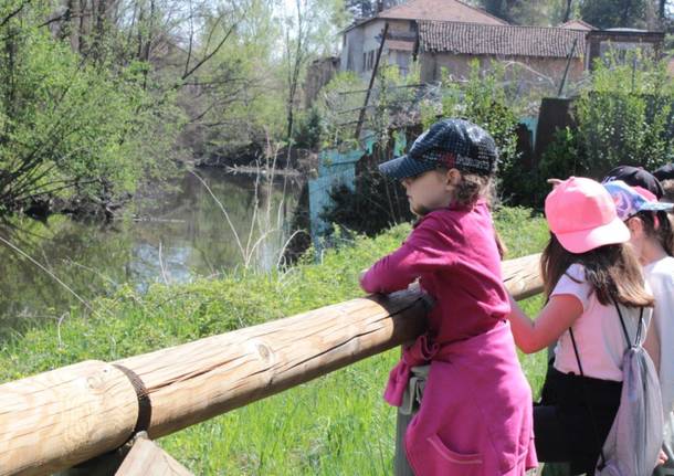 A lezione di natura sulle sponde del fiume Olona