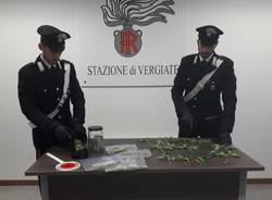 La mini serra di marijuana