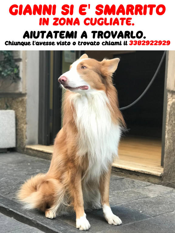 Gianni si è perso a Cugliate