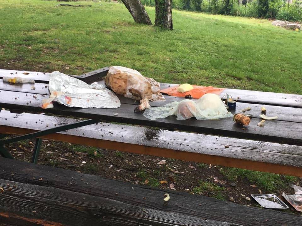 Inciviltà al Parco Cinque Piante