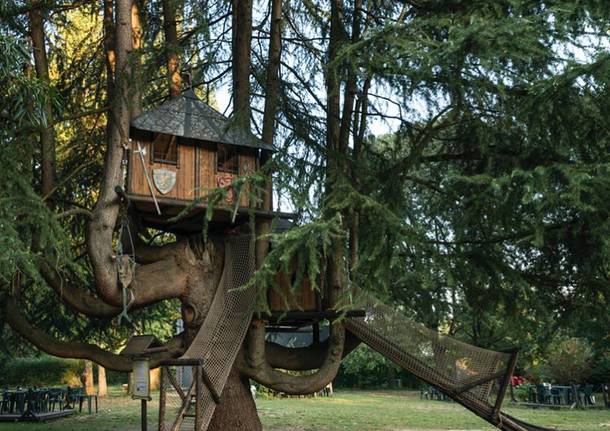 casa sull'albero fagnano olona