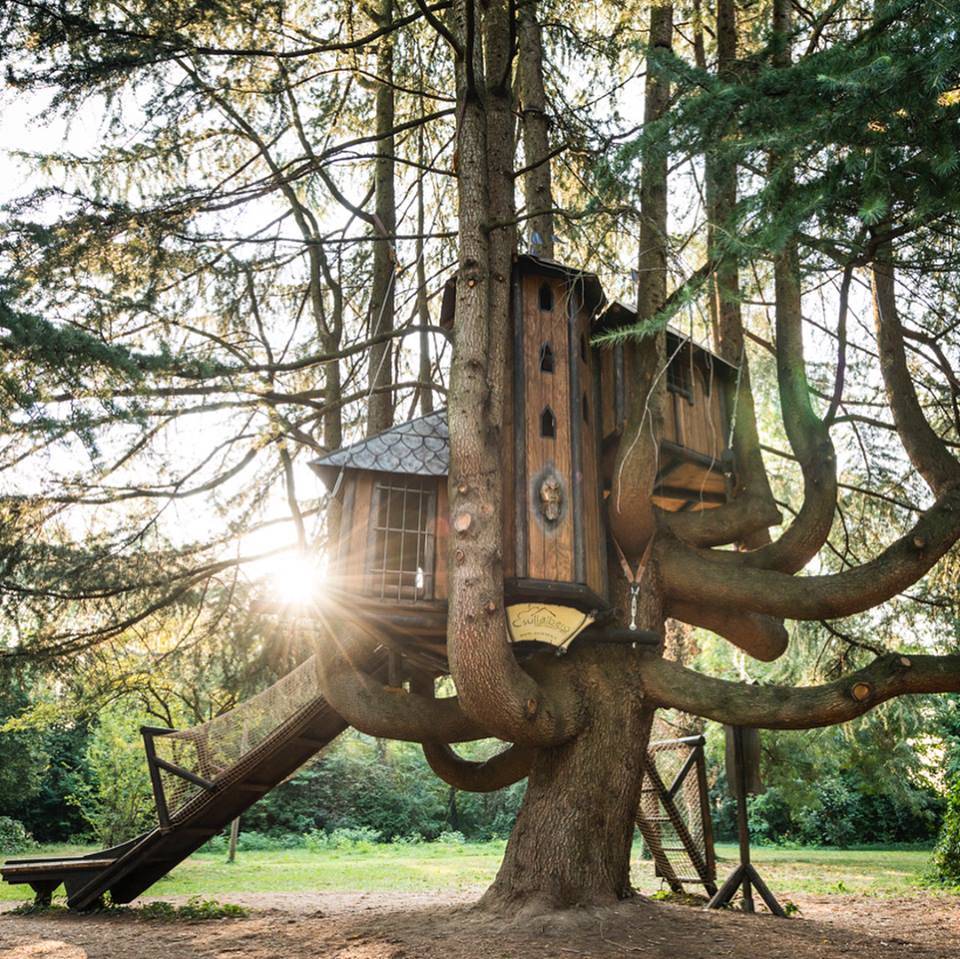 casa sull'albero fagnano olona