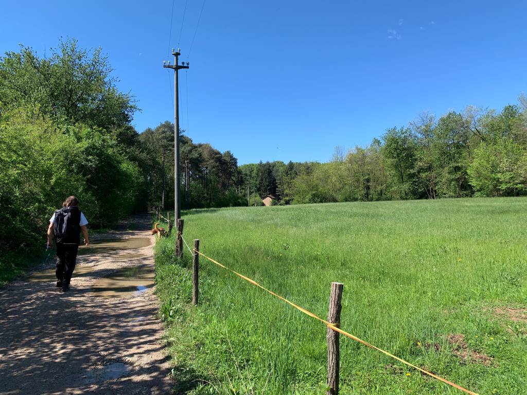 Da Vedano a Tradate 