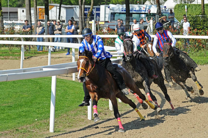 DSC 3103