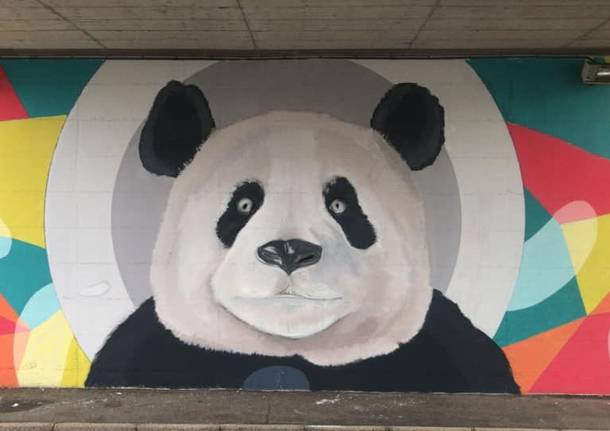 I murales di Cavaria con Premezzo