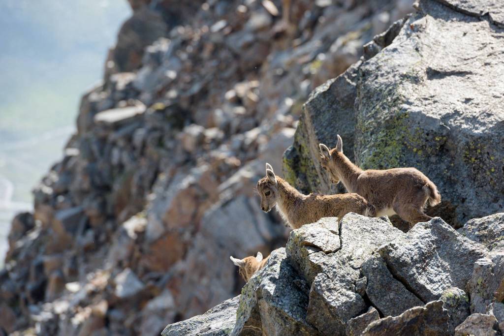 La bella stagione in Valsesia