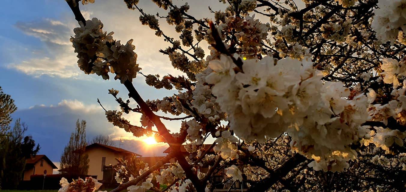 La magia della primavera a Sant'Eusebio