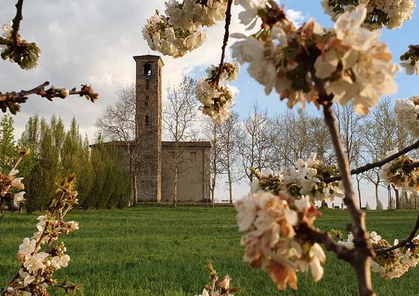 La magia della primavera a Sant'Eusebio