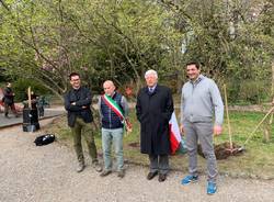 Melograni ai giardini estensi per fondazione Ascoli