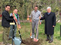 Melograni ai giardini estensi per fondazione Ascoli