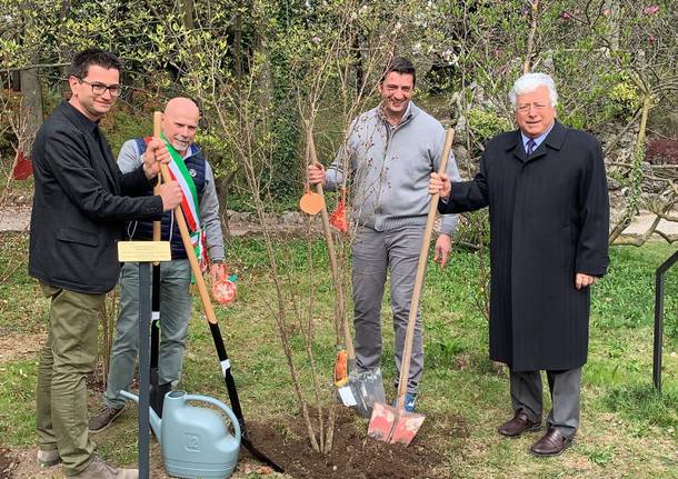 Melograni ai giardini Estensi per la fondazione Ascoli