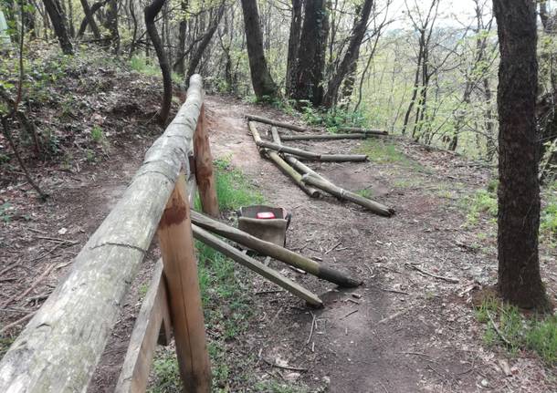 Pulizie di primavera all’Oasi Boza