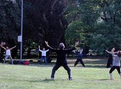 qi gong tai chi 