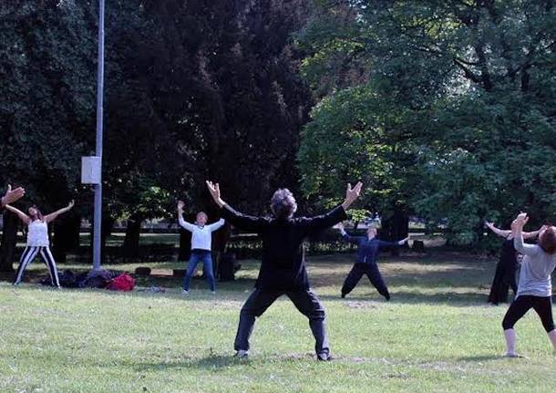 qi gong tai chi 