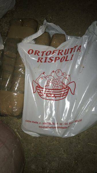 sequestrati 7 chili di esplosivo a Ferno Rispoli  ndrangheta  1 