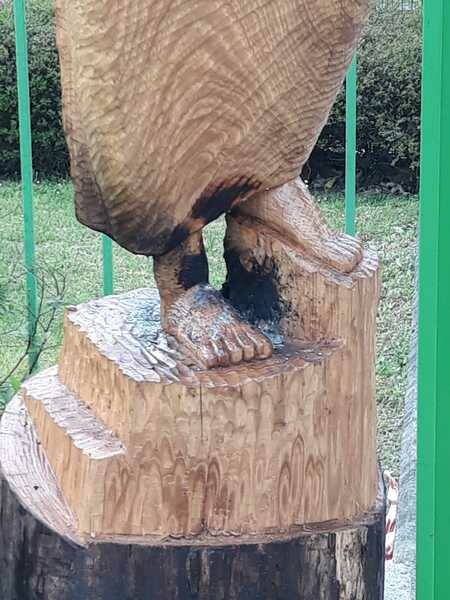 Statua anpi bruciata vighignolo cornaredo settimo milanese  13 