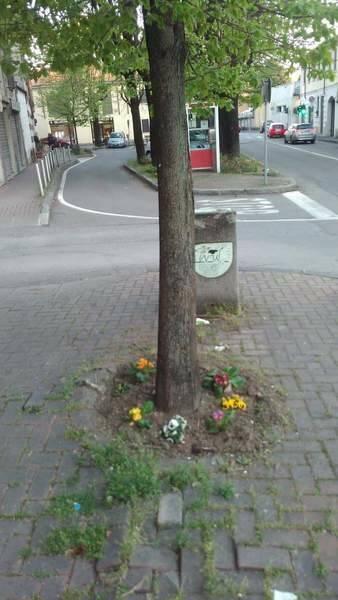Via Carrera Mario Prestianni La ruota cooperativa Canegrate  16 