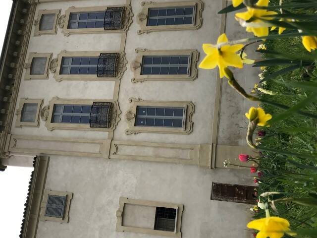 villa arconati bollate tulipani e narcisi  6 
