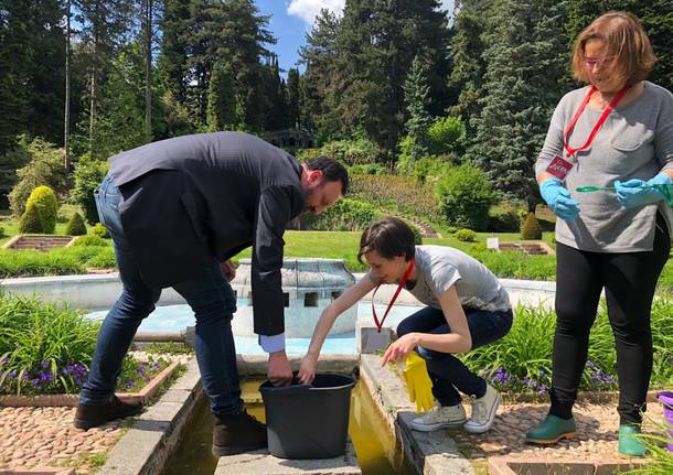 A villa Toeplitz si mettono in salvo i girini