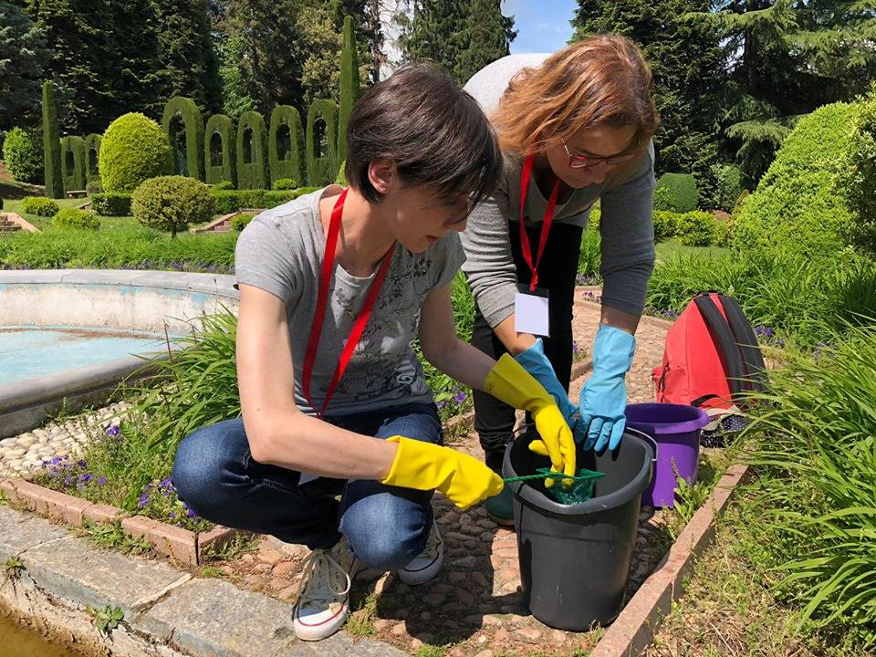 A villa Toeplitz si mettono in salvo i girini