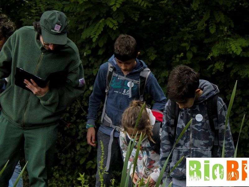 BioBlitz 2019