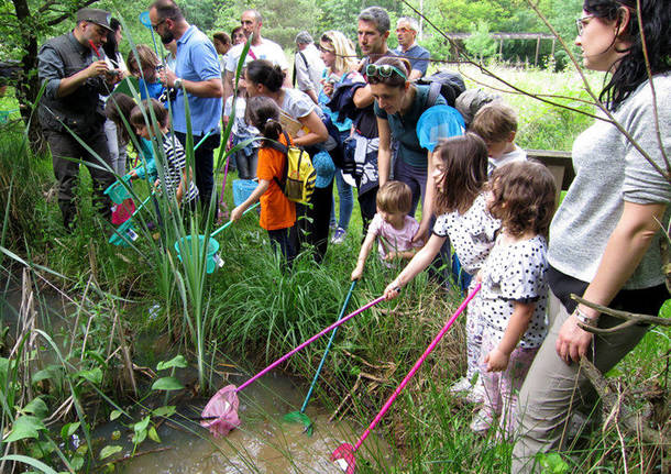 bioblitz campo dei fiori