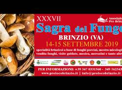XXXVII Sagra del Fungo