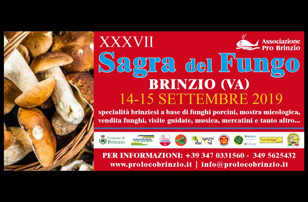 XXXVII Sagra del Fungo