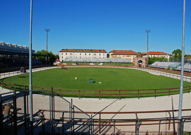 Palio: Prove Libere 2019 – a cura di Luigi Frigo