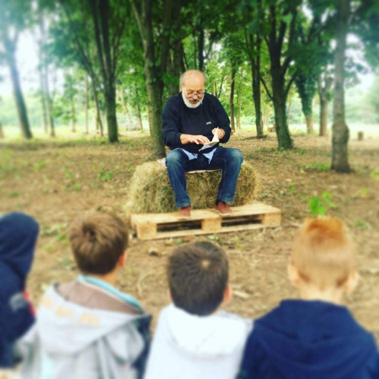 Il bosco dei curiosi