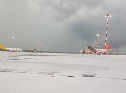 Malpensa Generiche