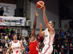 michele ferri basket axpo legnano knights