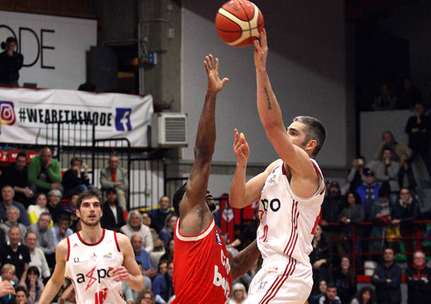 michele ferri basket axpo legnano knights