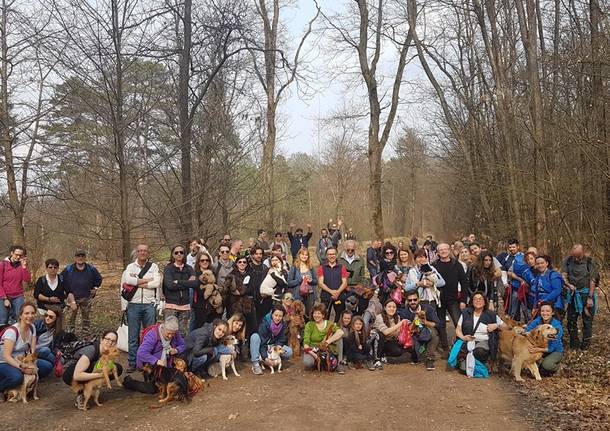 Parco Pineta