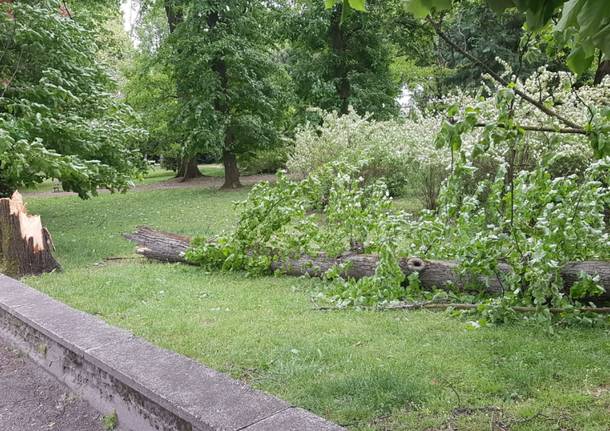 Raffiche a 100 all'ora, i danni del vento nel Varesotto (domenica 5 maggio)