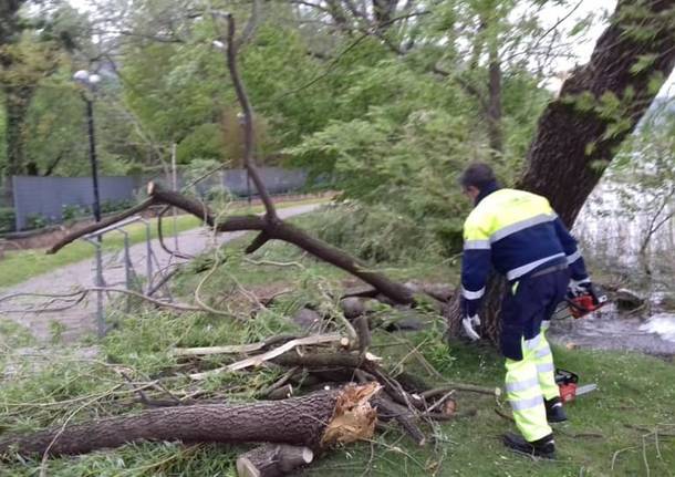 Raffiche a 100 all'ora, i danni del vento nel Varesotto (domenica 5 maggio)