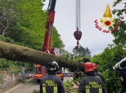 Raffiche a 100 all'ora, i danni del vento nel Varesotto (domenica 5 maggio)