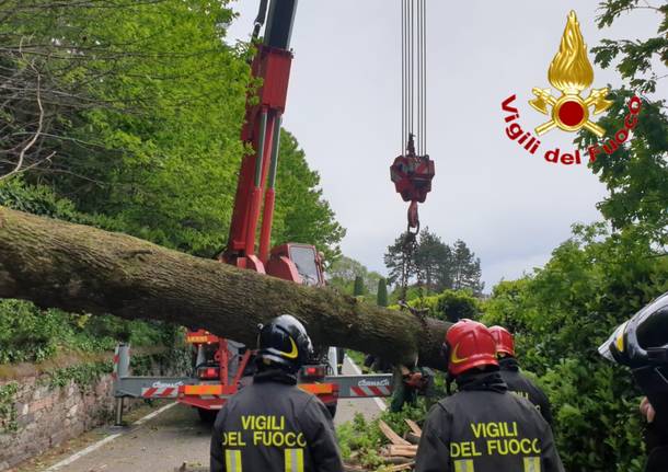 Raffiche a 100 all'ora, i danni del vento nel Varesotto (domenica 5 maggio)