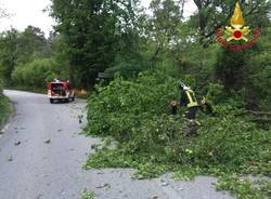 Raffiche a 100 all'ora, i danni del vento nel Varesotto (domenica 5 maggio)