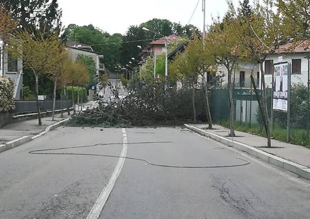 Raffiche a 70 all'ora, i danni del vento nel Varesotto (domenica 5 maggio)