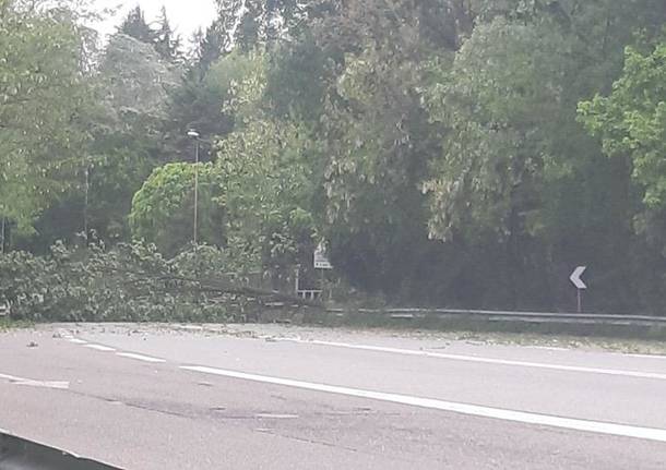 Raffiche a 70 all'ora, i danni del vento nel Varesotto (domenica 5 maggio)