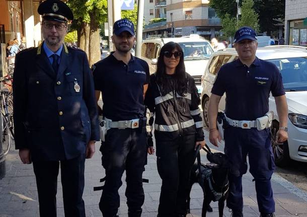 Saronno generica genererico