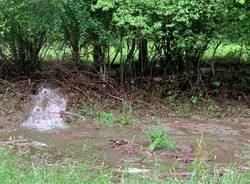 Un torrente sulla strada della Rasa