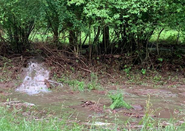 Un torrente sulla strada della Rasa