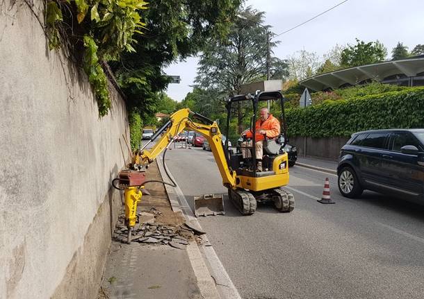 varese generiche