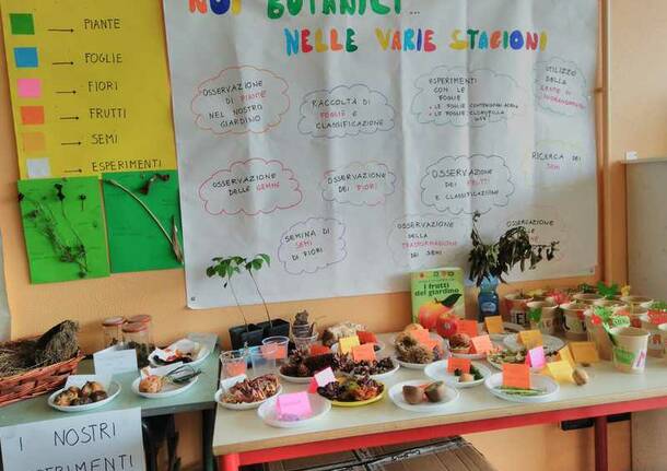 Rendicontazione della scuola primaria di San Giorgio.