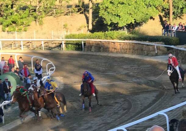 Palio Fucecchio, le accoppiate